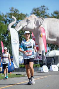 BIB: 
                            <button type="button" onclick="openModal(26544477)" class="btn btn-primary btn-sm float-right btn-popup" data-toggle="modal" data-target=".modal-high-quality">
                        <i class="fas fa-shopping-cart"></i> Add to Cart
                    </button>
                                            <button type="button" onclick="isThisMe(26544477, true)" class="btn btn-success btn-sm float-right btn-popup btn-isme hidden" data-toggle="tooltip" data-placement="bottom" title="นี่คือรูปของคุณใช่ไหม คลิกที่นี่เพื่อเอาเข้าอัลบั้ม">
                        <i class="fas fa-plus"></i> Add to album
                    </button>
                    <button type="button" onclick="isThisMe(26544477, false)" class="btn btn-warning btn-sm float-right btn-popup btn-isnotme hidden">
                        <i class="fas fa-ban"></i> Remove from album
                    </button>